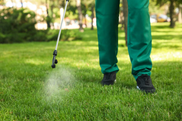 Flea Control Services in Malverne, NY