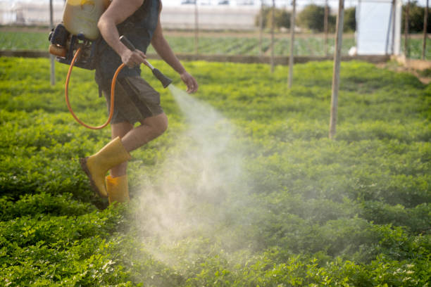 Best Commercial Pest Control Services  in Malverne, NY