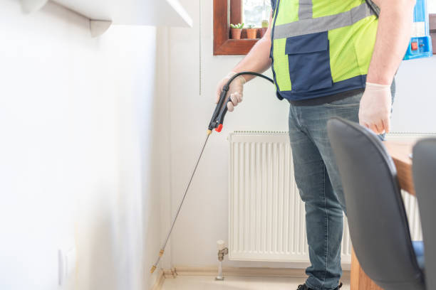 Trusted Malverne, NY Pest Control Experts