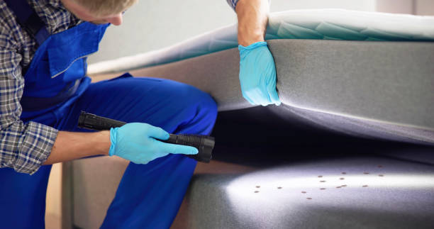 Best Pest Inspection Near Me  in Malverne, NY