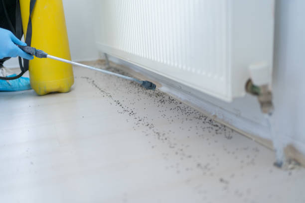 Best Mosquito Control Services  in Malverne, NY