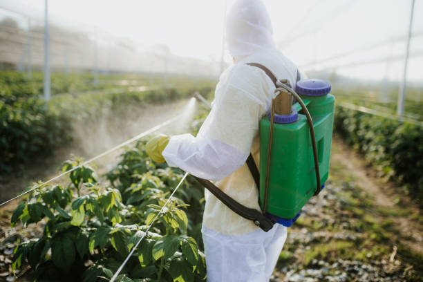 Best Bed Bug Extermination  in Malverne, NY